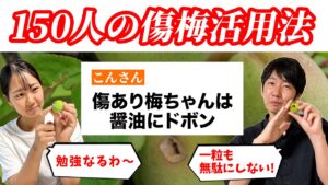 【梅仕事】150人に聞いた傷梅活用レシピが勉強になりすぎた